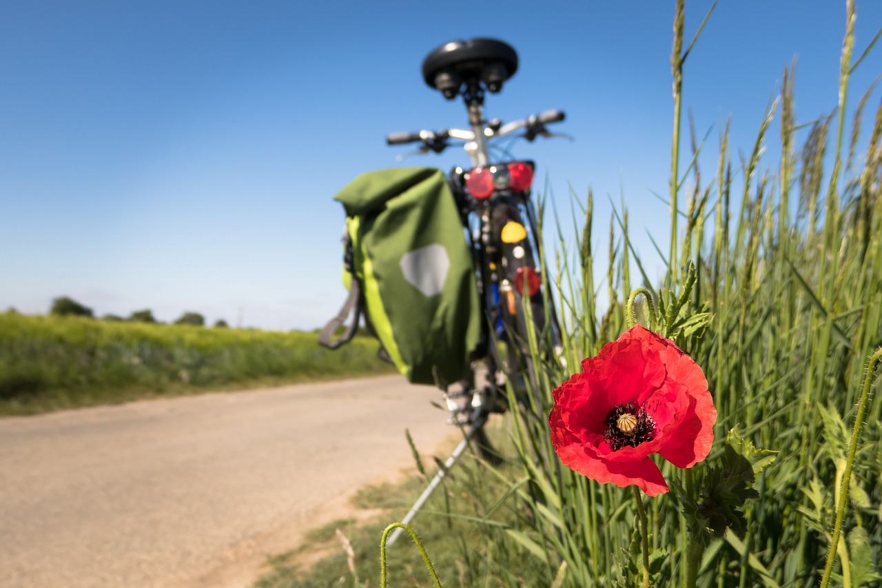 Die schönsten Radwege in Deutschland